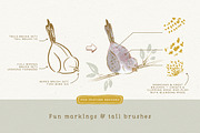 Procreate Bird Drawing Toolkit, a Brush Add-On by Lisa Glanz (Thumbnail 6 of 13)