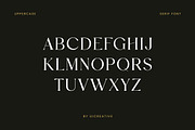 Harvest Bailey Font Duo, a Handwritten Font by UICreative (Thumbnail 4 of 13)