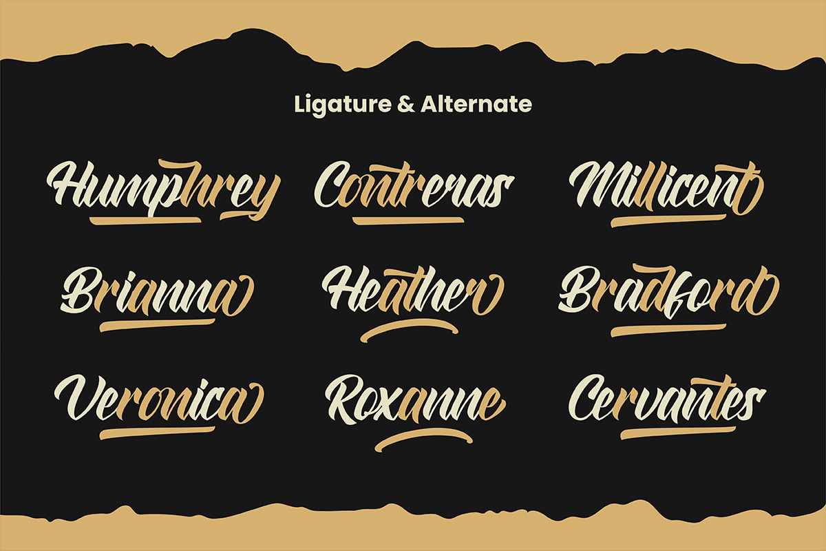 Straight Ahead Modern Script Font, a Script Font by Ronny Studio (Photo 8 of 11)