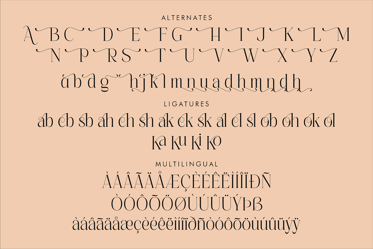 Alchadera A Modern Serif Font, a Serif Font by Storytype Studio (Photo 14 of 15)