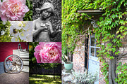 Garden Photo Set 31 pics preview 4