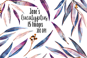 Watercolor Eucalyptus Clipart, an Illustration by DigitalArtsi (Thumbnail 1 of 4)