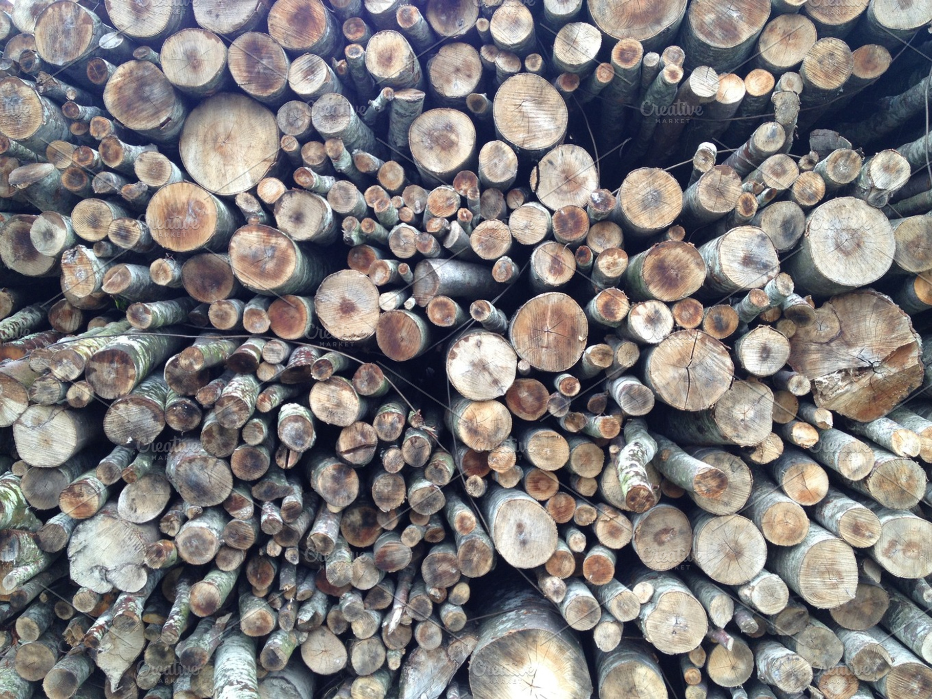 Wet Woodpile