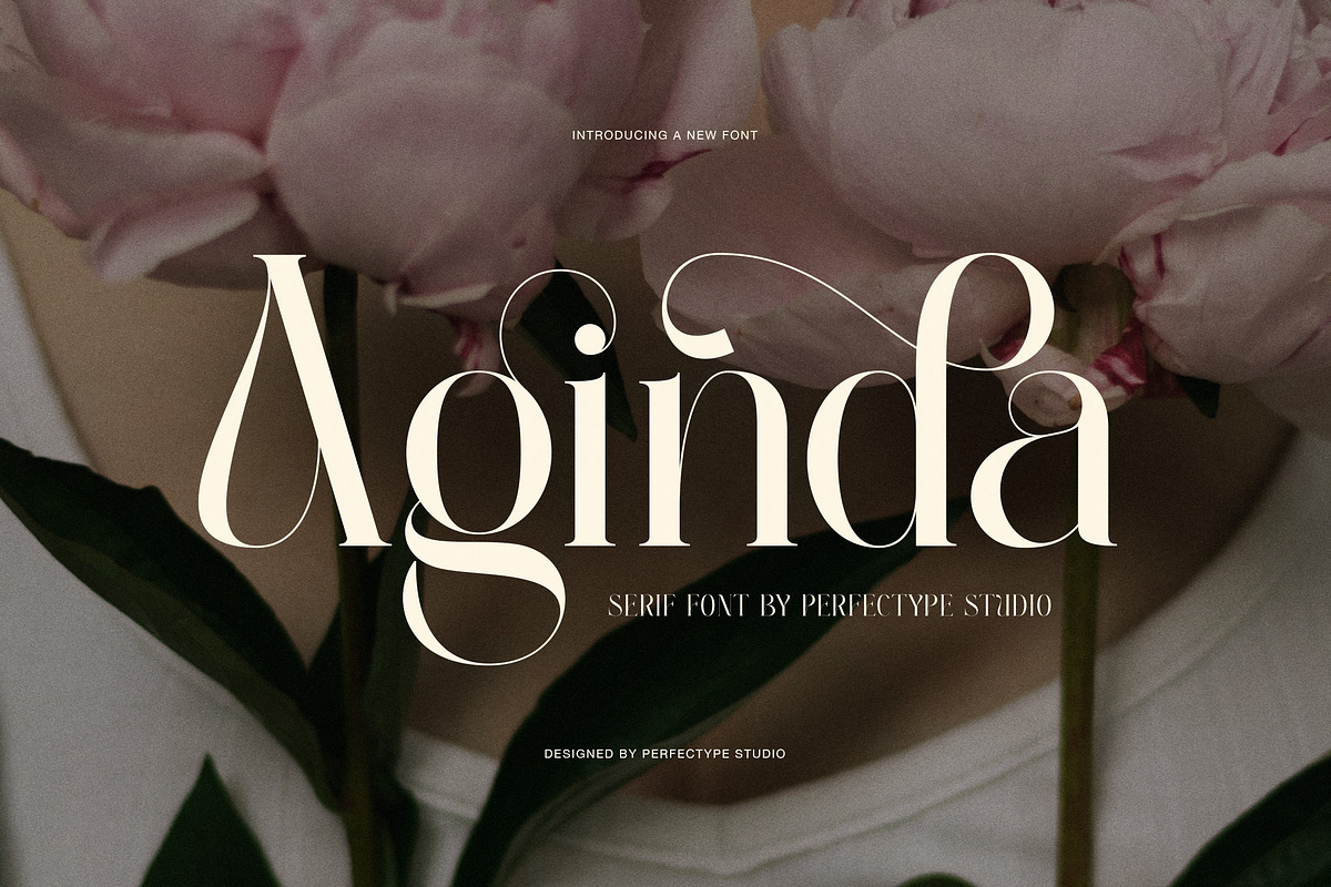 Aginda Elegant Serif Font, a Serif Font by Perfectype (Photo 1 of 8)