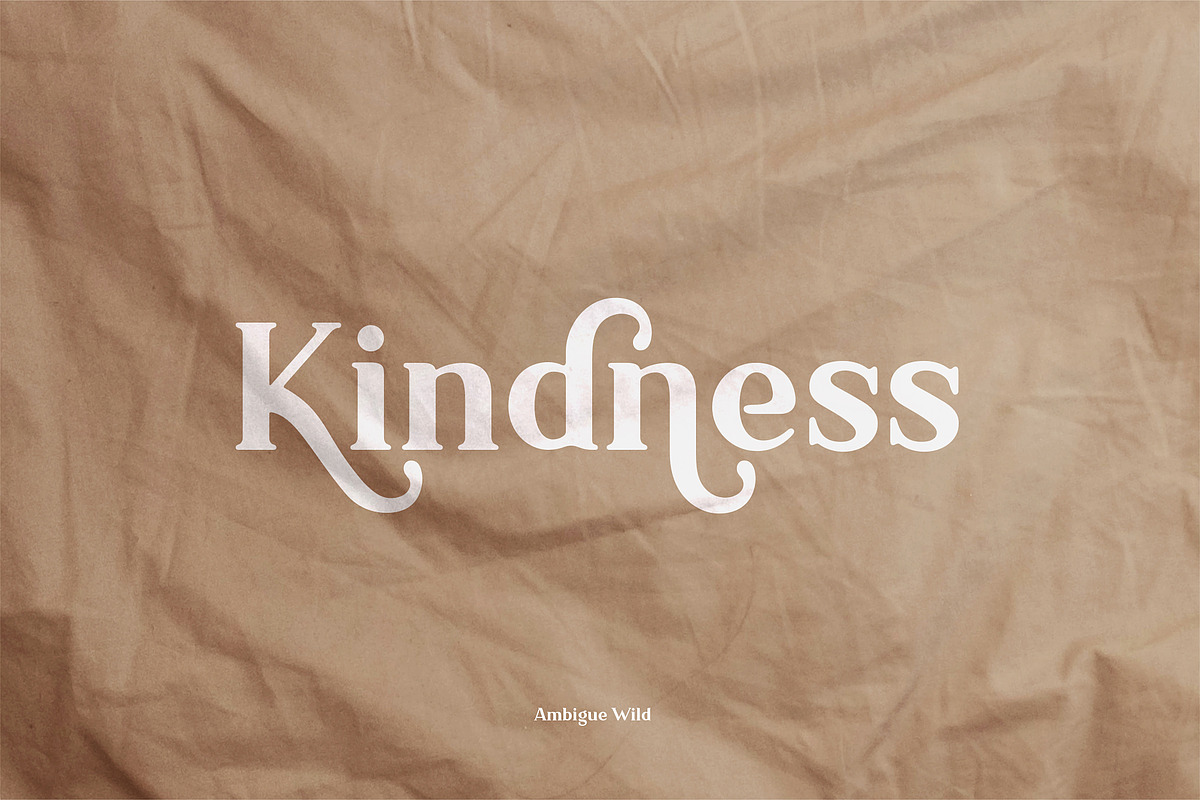 Ambigue Wild Modern x Vintage Serif, a Serif Font by Wandery Supply (Photo 15 of 22)