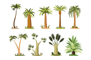 Palm Trees With Green Leaves Top And