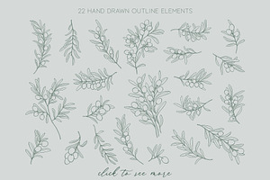 Line Art Olive Branches Clipart