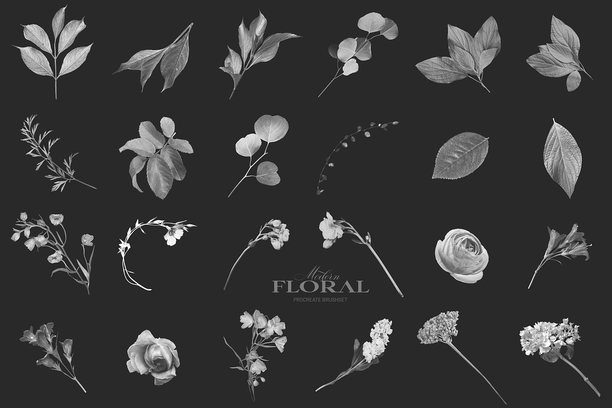 Modern Floral Procreate Brushes, a Brush Add-On by Eclectic Anthology ...