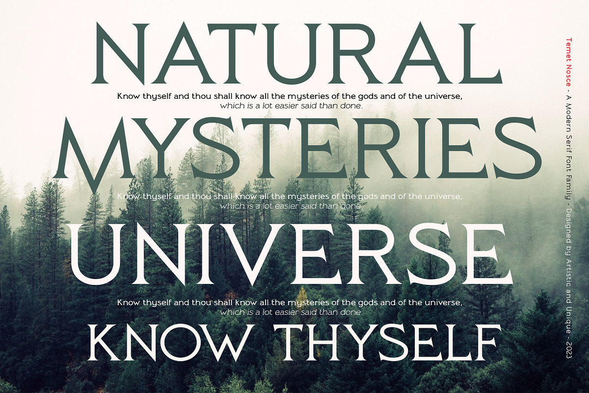 Temet Nosce - Serif font family, a Serif Font by Artistic & Unique (Photo 10 of 15)