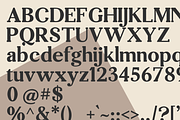 Desrige, a Serif Font by Gatype (Thumbnail 8 of 9)
