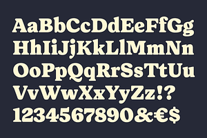 Forrest Friendly Serif Family