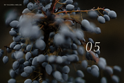 RUSTIC SUMMER (5 BACKGROUNDS), a Nature Photo by Valeriia Miller (Thumbnail 10 of 11)