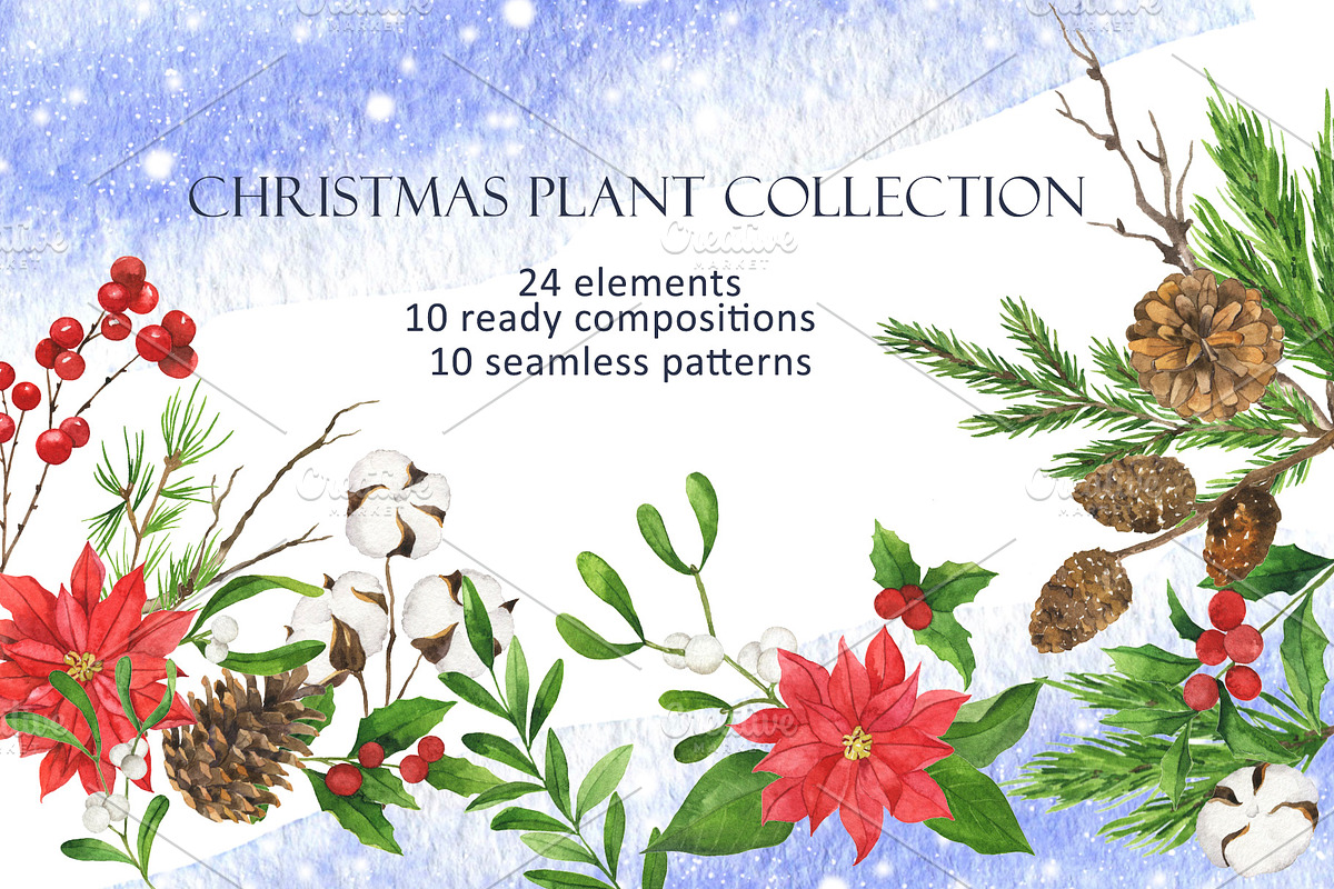 Christmas plant collection, an Illustration by Watercolor & sketches (Photo 1 of 9)