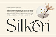 Amira Monte Elegant Display Font, a Sans Serif Font by timelesstype.co (Thumbnail 3 of 20)