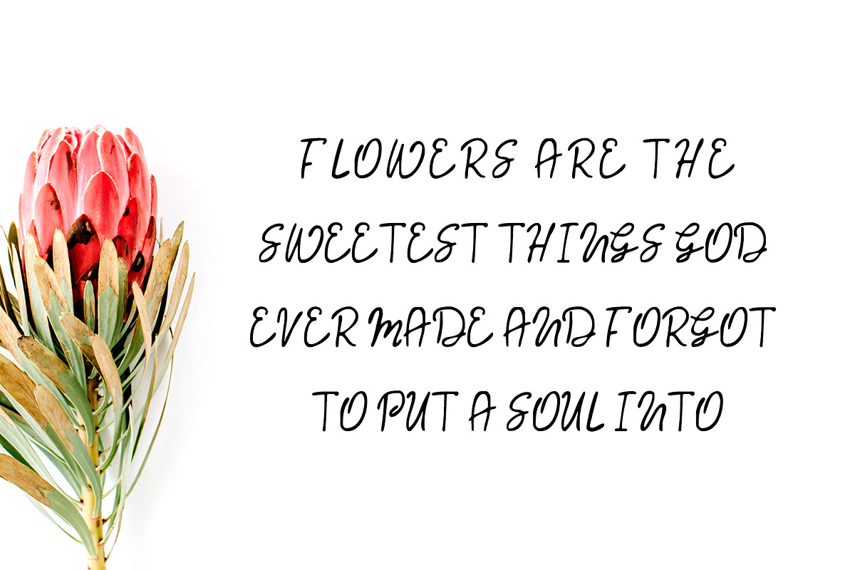 Jaraad Script 4 Font Family Pack preview 5