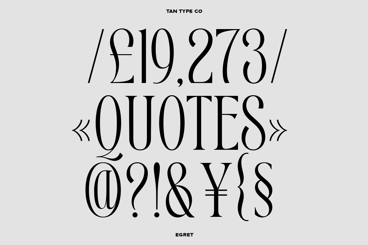 TAN - EGRET, a Serif Font by TanType (Photo 12 of 19)