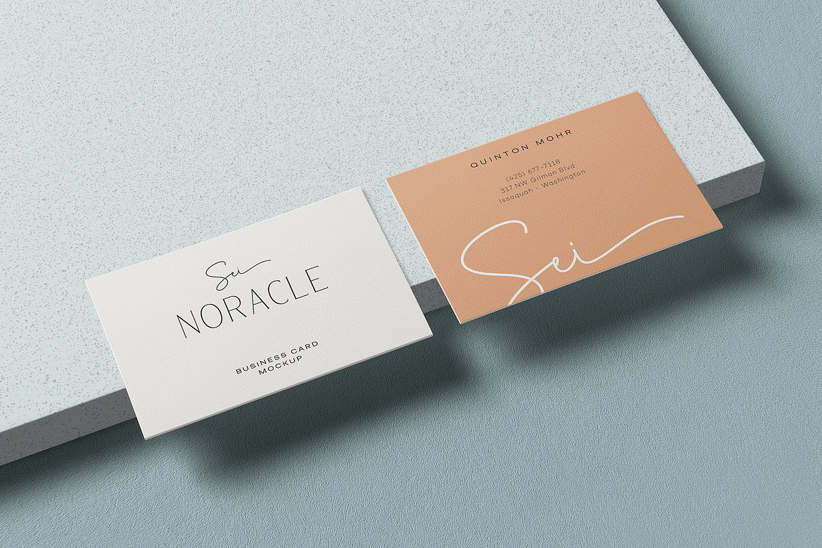 Business Card Mockup, a Product Mockup by GfxFoundry (Photo 1 of 5)