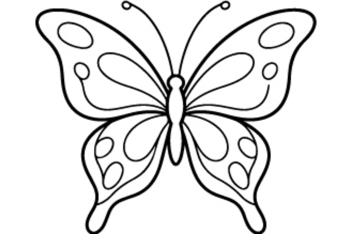 Butterfly SVG Bundle, an Object Graphic by Gfx_Store (Photo 5 of 16)