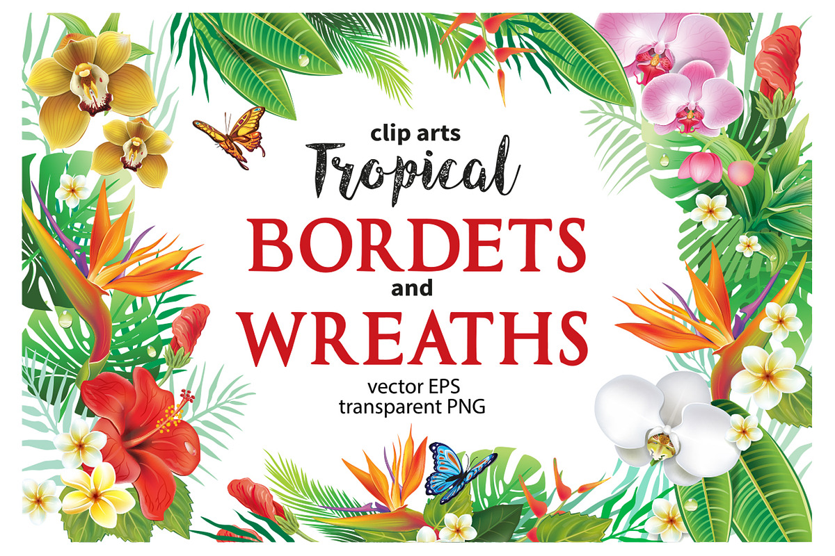 Tropical Frames and Borders, a Seasonal Illustration by ViktoriaARTprint (Photo 1 of 8)