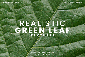 Realistic Green Leaf Textures, a Texture Graphic by Ary_ngeblur