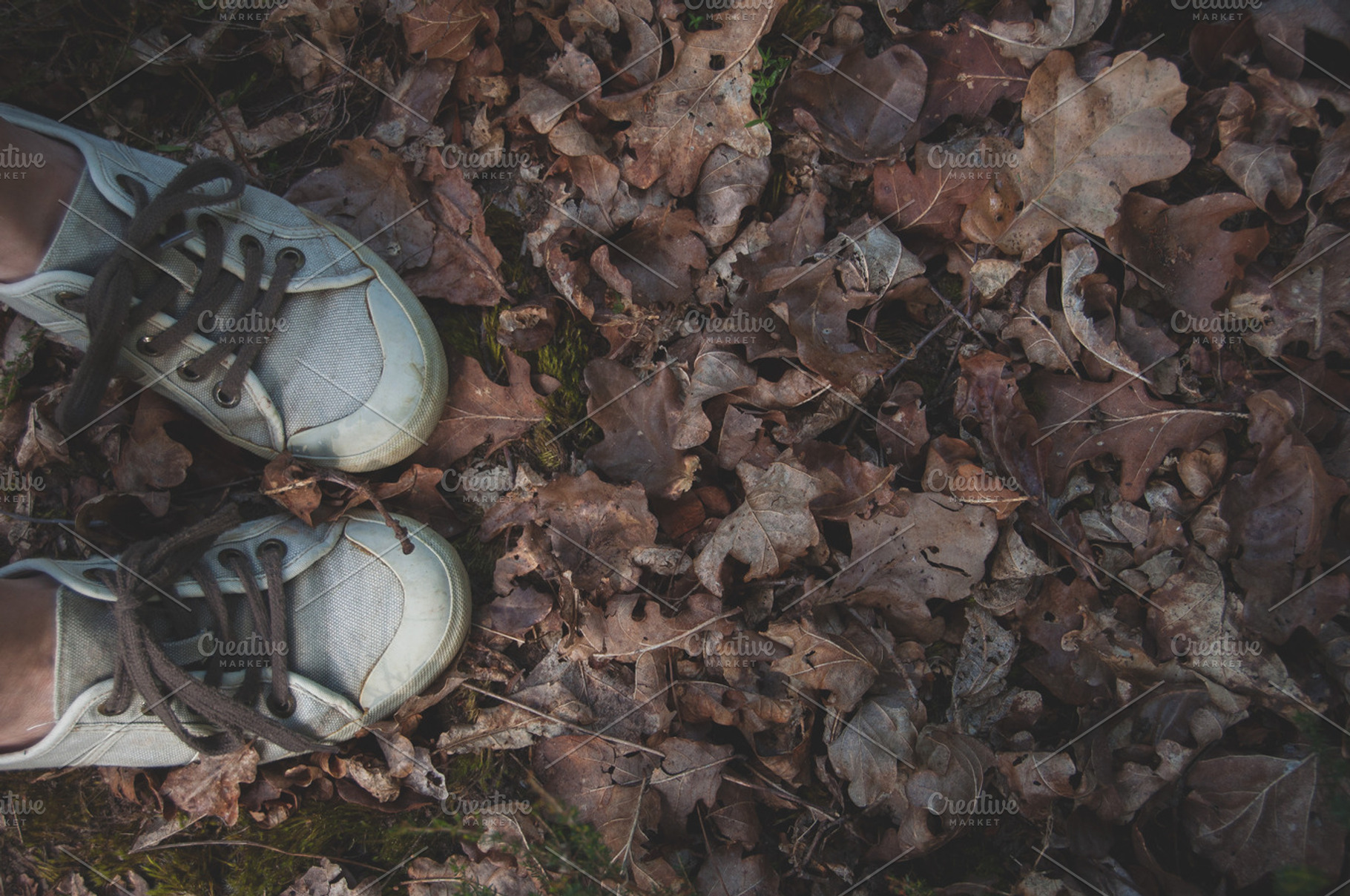 Autumn leaves stock photo containing autumn leaves and casual shoes
