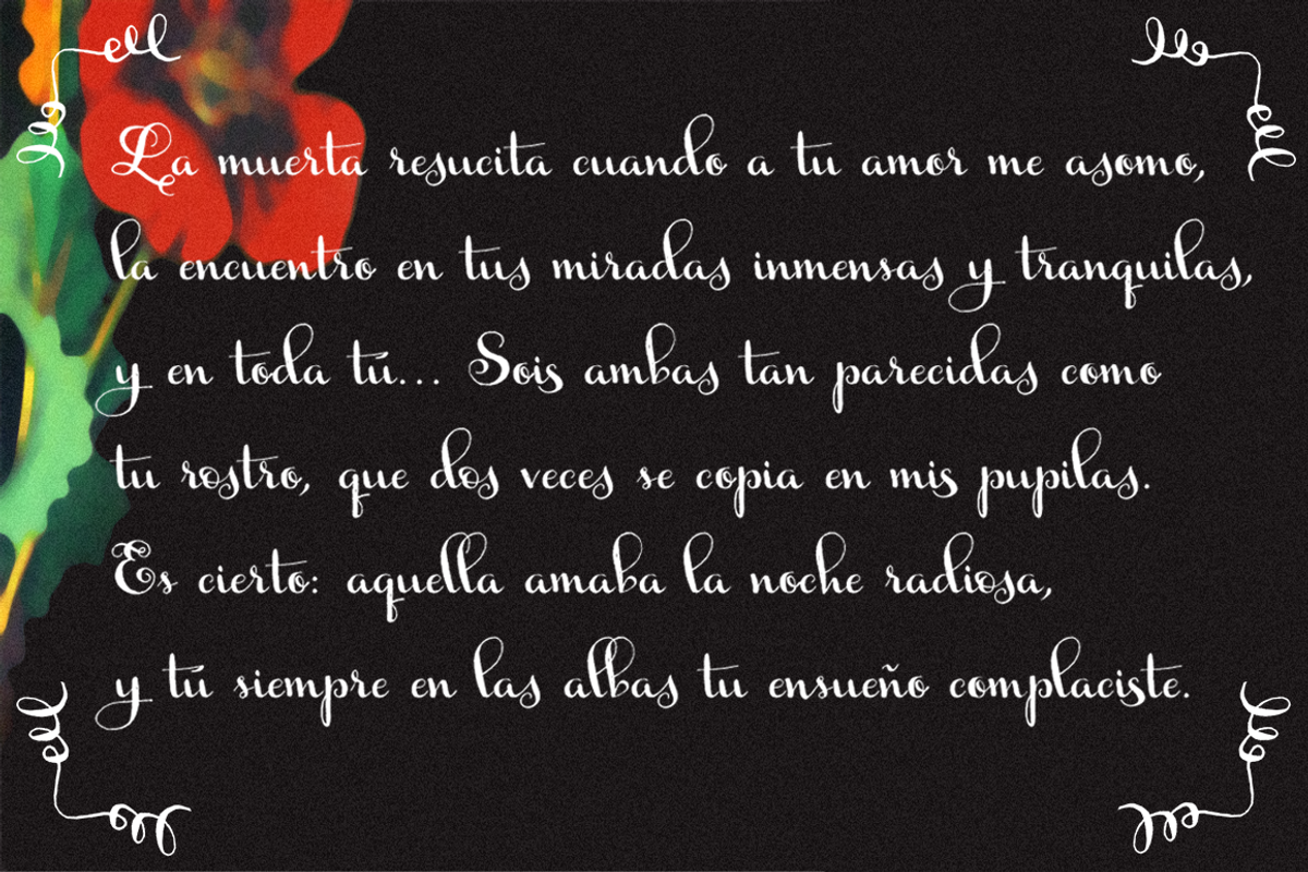 Ameglia Family Regular & Italic preview 3