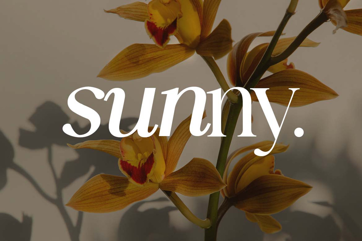 The Heritage Legacy Serif Font, a Serif Font by UICreative (Photo 9 of 13)