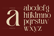 Xeola - Modern Logo Font, a Serif Font by Nirmana Visual (Thumbnail 9 of 10)