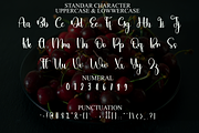 Winter Shouthmore, a Handwritten Font by FreshTypeINK (Thumbnail 3 of 8)