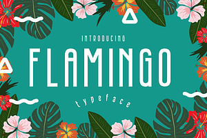 Flamingo