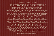Twilight Archive Romantic Font Duo, a Serif Font by Letterhend Studio (Thumbnail 4 of 10)