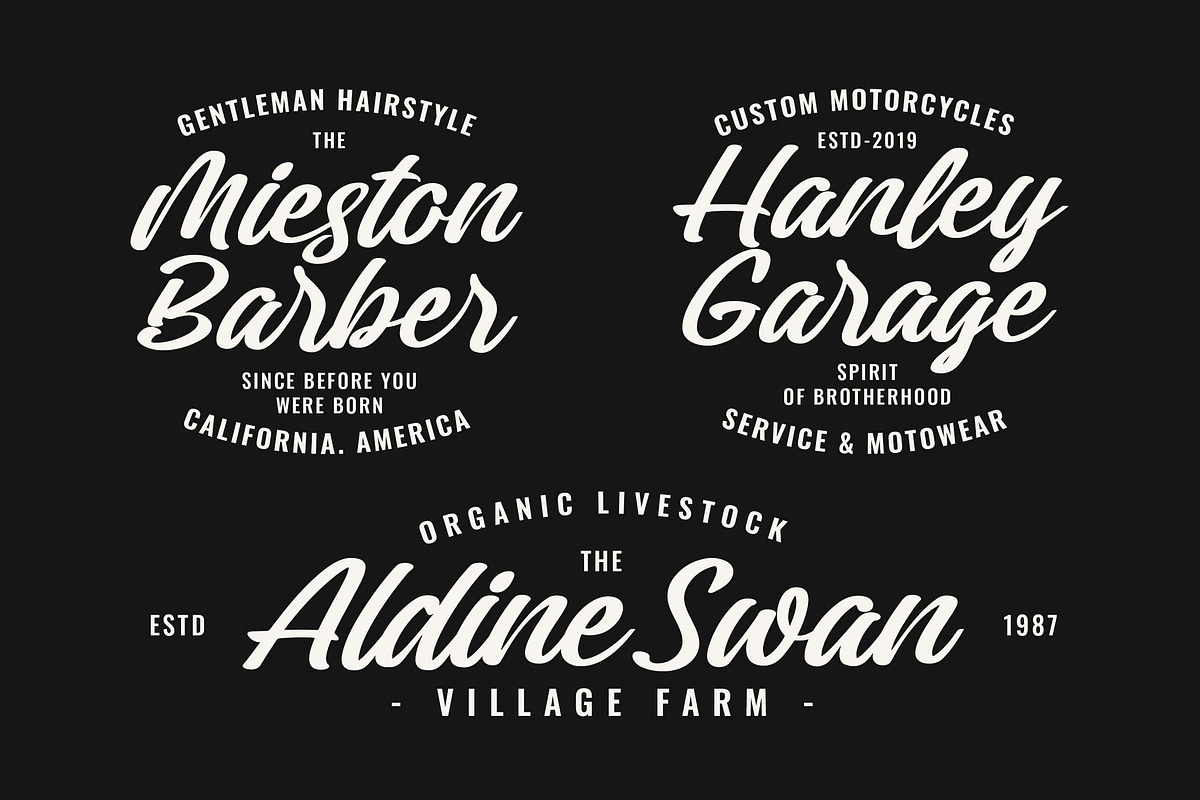 Montavie - Bold Script Typeface, a Script Font by Blankids Studio (Photo 2 of 9)