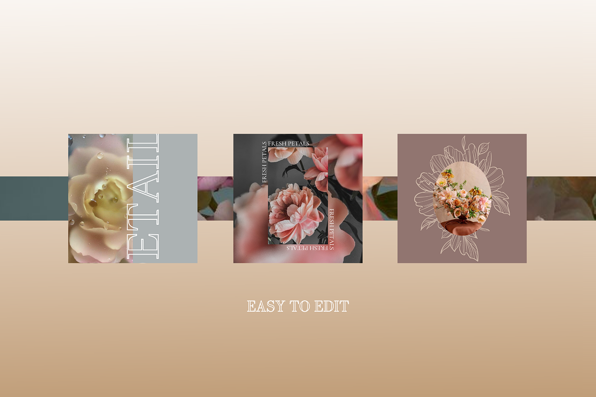 Petal Template, a Social Media Template by The Magic Glow Co. (Photo 2 of 5)