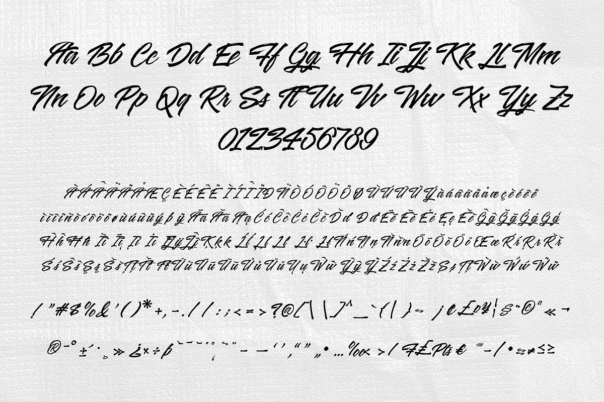 Misero - Brush Script Font, a Script Font by Typeparties (Photo 7 of 7)