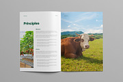 Agriculture Brochure Template, a Brochure Template by Pixelpick (Thumbnail 4 of 9)