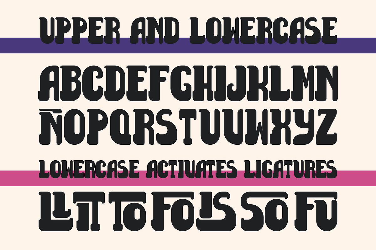 Fun Bull - Bold Retro Modern Font, a Serif Font by arausidp (Photo 2 of 5)
