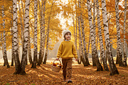 30 Autumn Bokeh Digital Backdrops, a Background Graphic by 3Motional (Thumbnail 8 of 18)