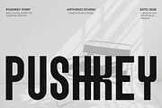 Pushkey – Condensed Sans Serif, a Sans Serif Font by Artiveko (Thumbnail 1 of 8)