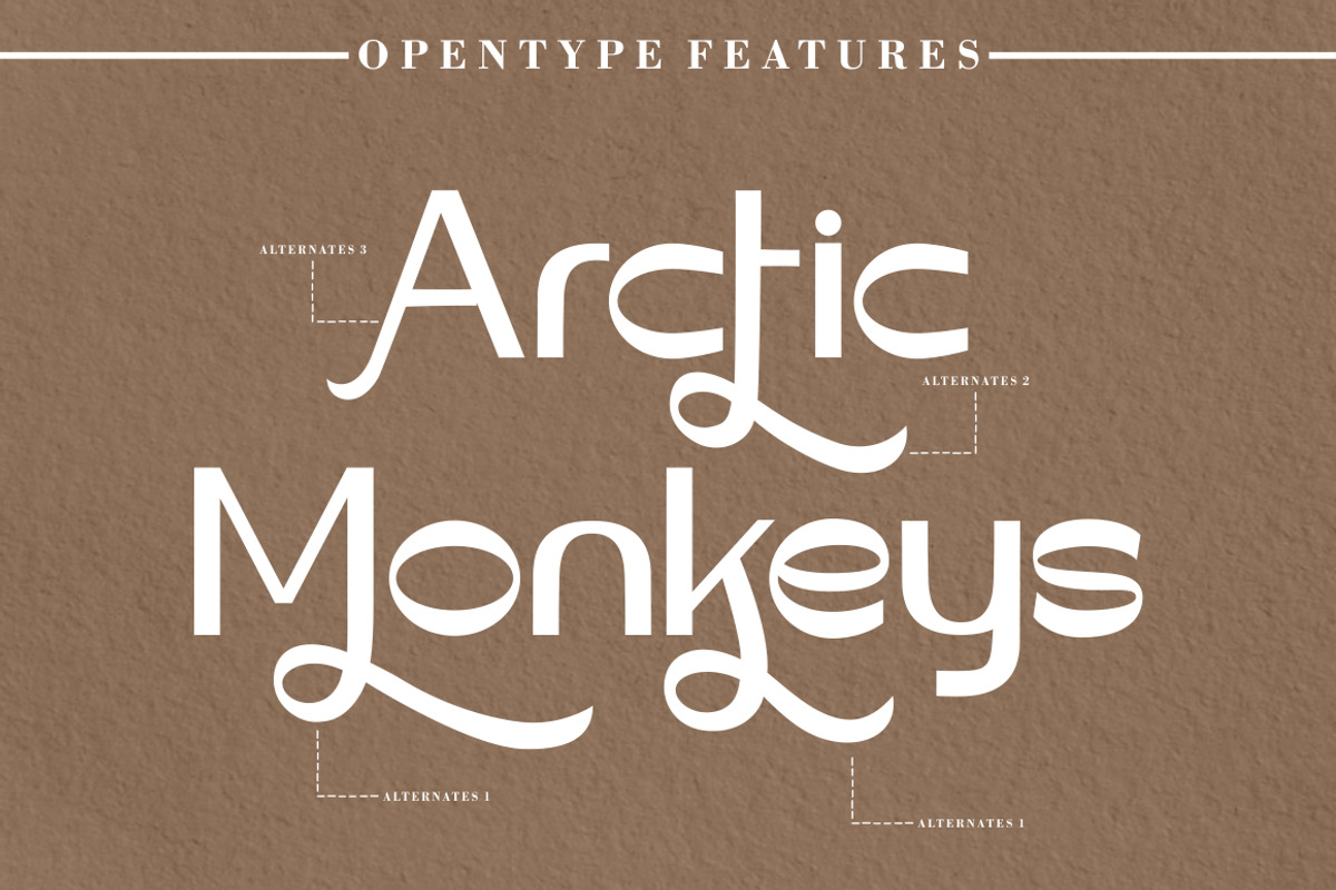 Vidage - Elegant Serif Typeface Font, a Sans Serif Font by PutraCetol Studio (Photo 9 of 10)
