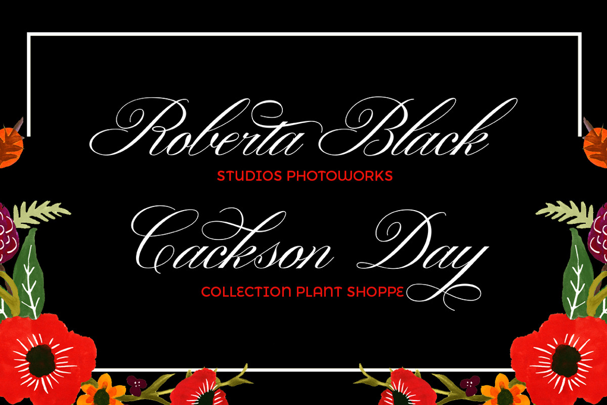 Gallisia Script, a Script Font by Picatype Studio (Photo 2 of 9)