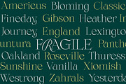 Bellabio Typeface, a Serif Font by Dora Typefoundry (Thumbnail 22 of 25)