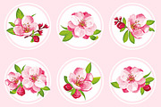 SET / Sakura blossom in various kind, an Illustration by Nadin_Lebedeva (Thumbnail 2 of 7)
