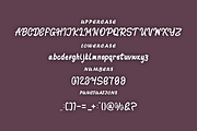 Clabrush font, a Script Font by VectorCraft (Thumbnail 3 of 4)