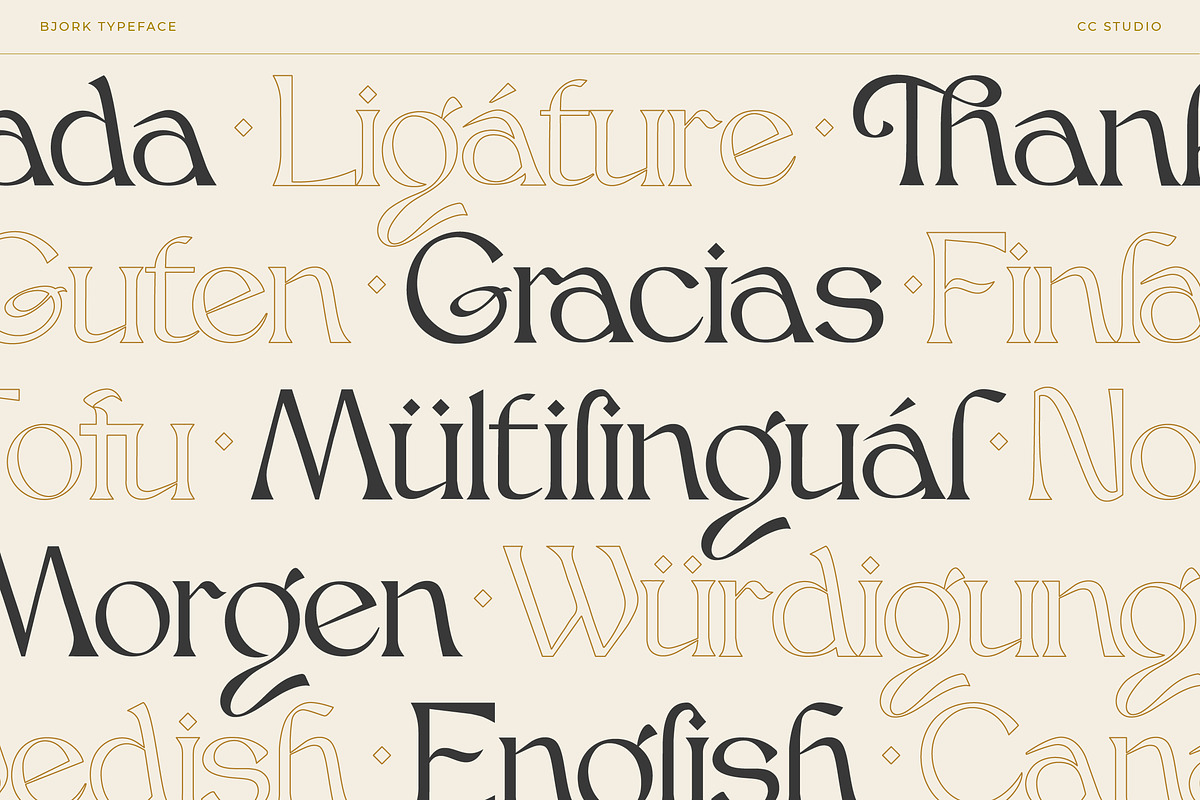 Bjork Serif, a Serif Font by CCS-Type.com (Photo 27 of 30)