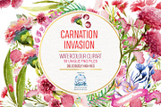 Carnation Watercolor Clipart PNG 59!, a Decorative Illustration by LilyBoo Clipart (Thumbnail 1 of 4)