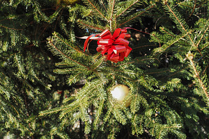 christmas tree with bauble, a Photo by WorldOfPhotos