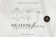 Meadow Flowers & Blooms Bundle, an Illustration by Pigment Café (Thumbnail 1 of 9)