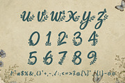 Aerisfly - Butterflies & Floral, a Script Font by HypeWorksCo (Thumbnail 17 of 17)