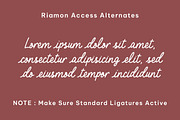 Riamon - lines stylish script font, a Script Font by Fontcastle (Thumbnail 3 of 7)