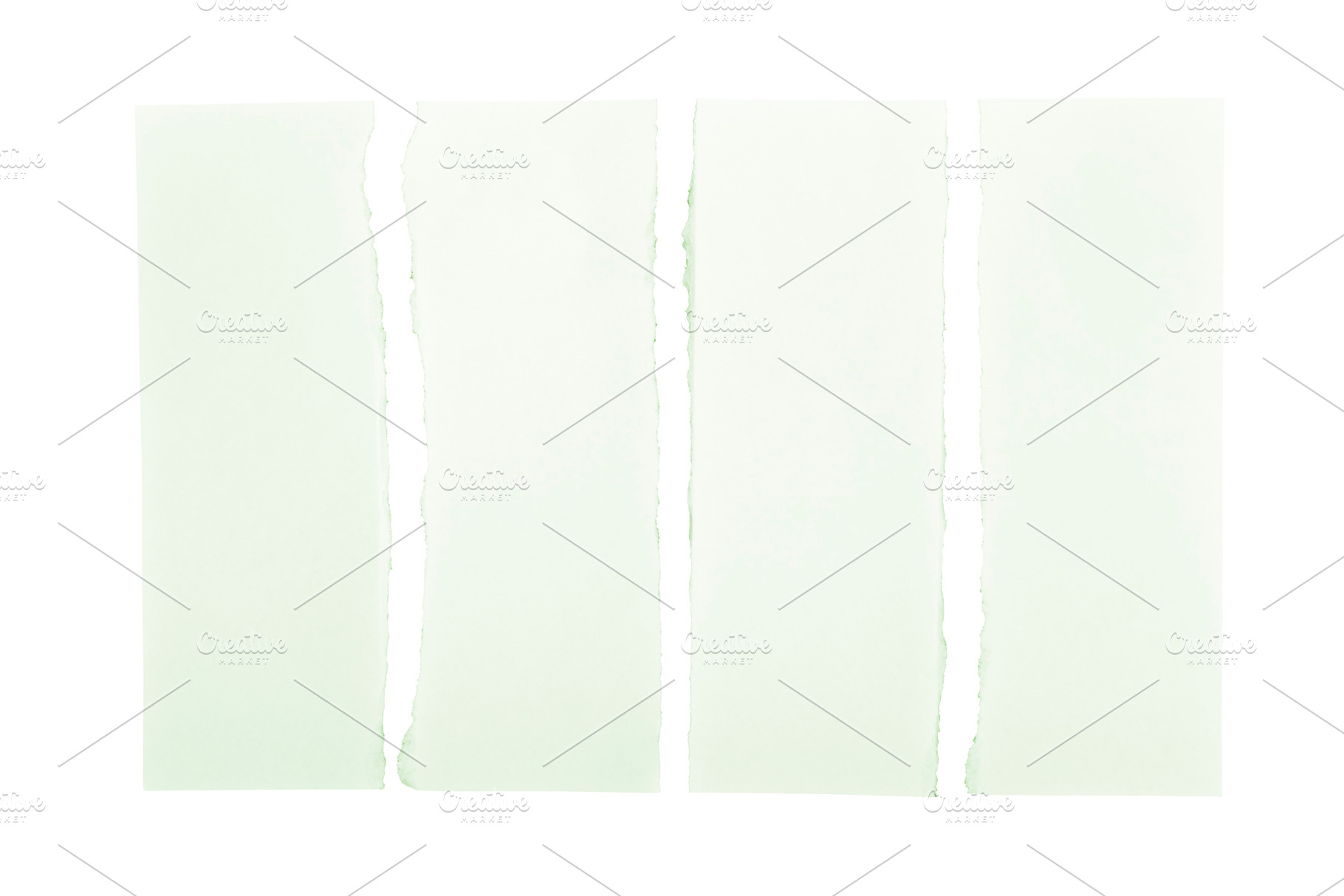 Green Torn Paper Strips, a Background Photo by THP Creative
